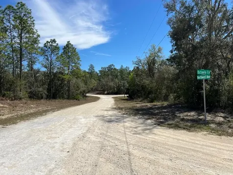 0 Northwest Avenue Webster FL 33597
