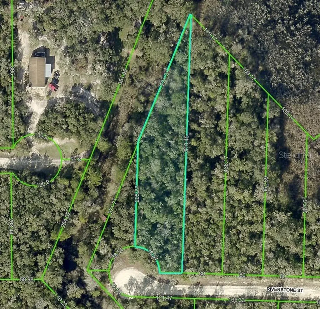 0 Riverstone Street Webster FL 33597