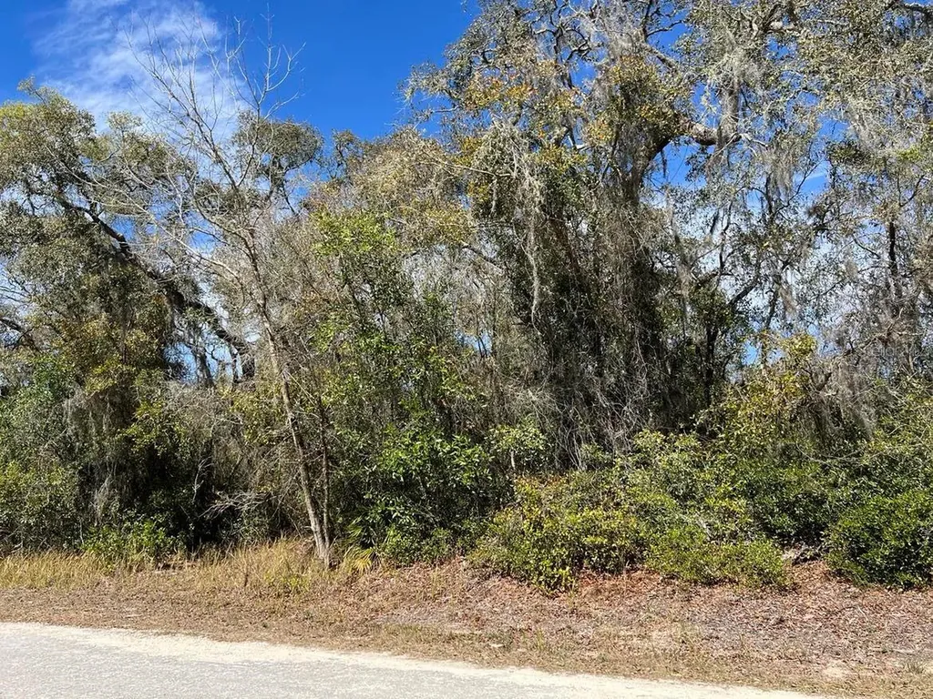 0 Riverstone Street Webster FL 33597