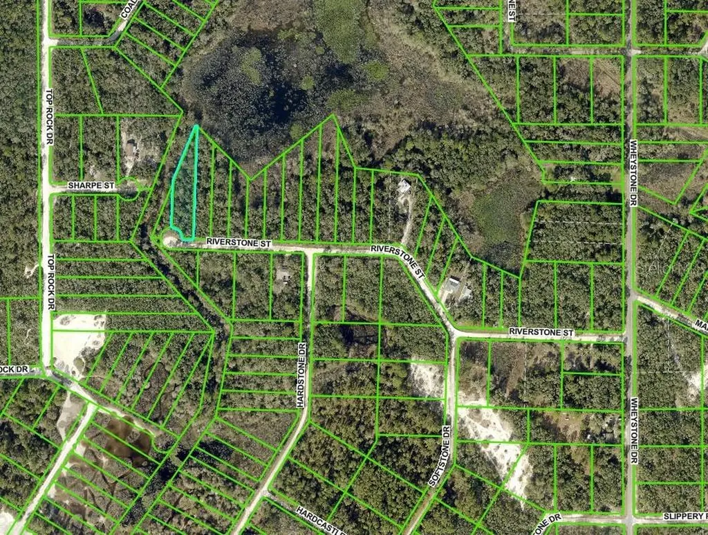 0 Riverstone Street Webster FL 33597