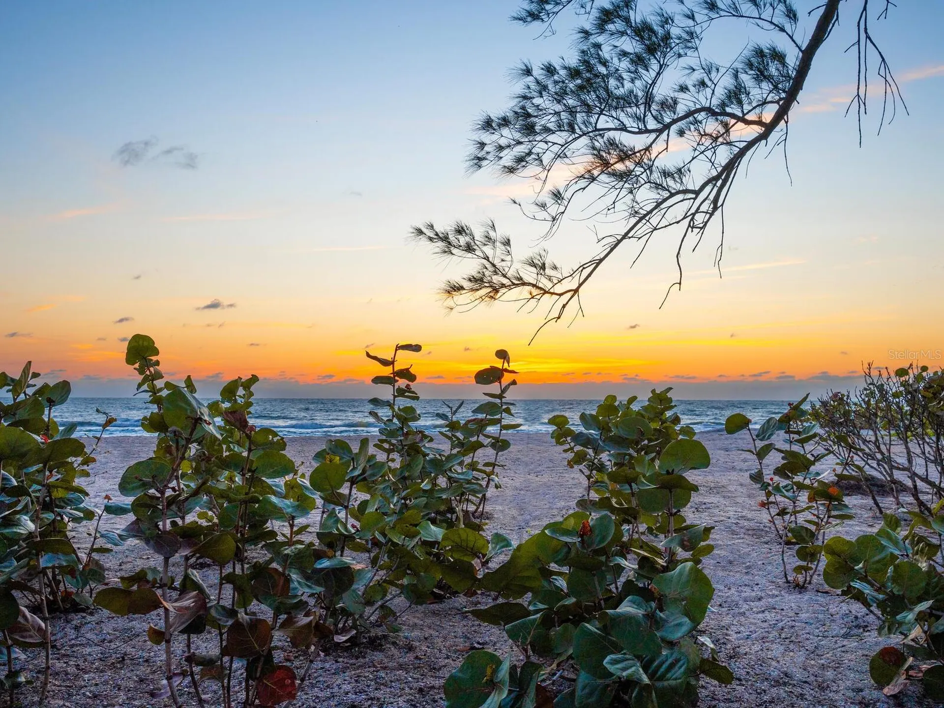 1216 N Casey Key Road Osprey FL 34229