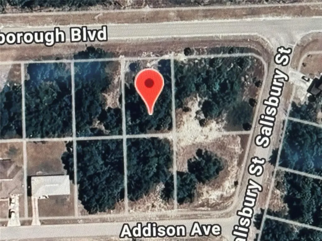 19233 Hillsborough Boulevard Port Charlotte FL 33954