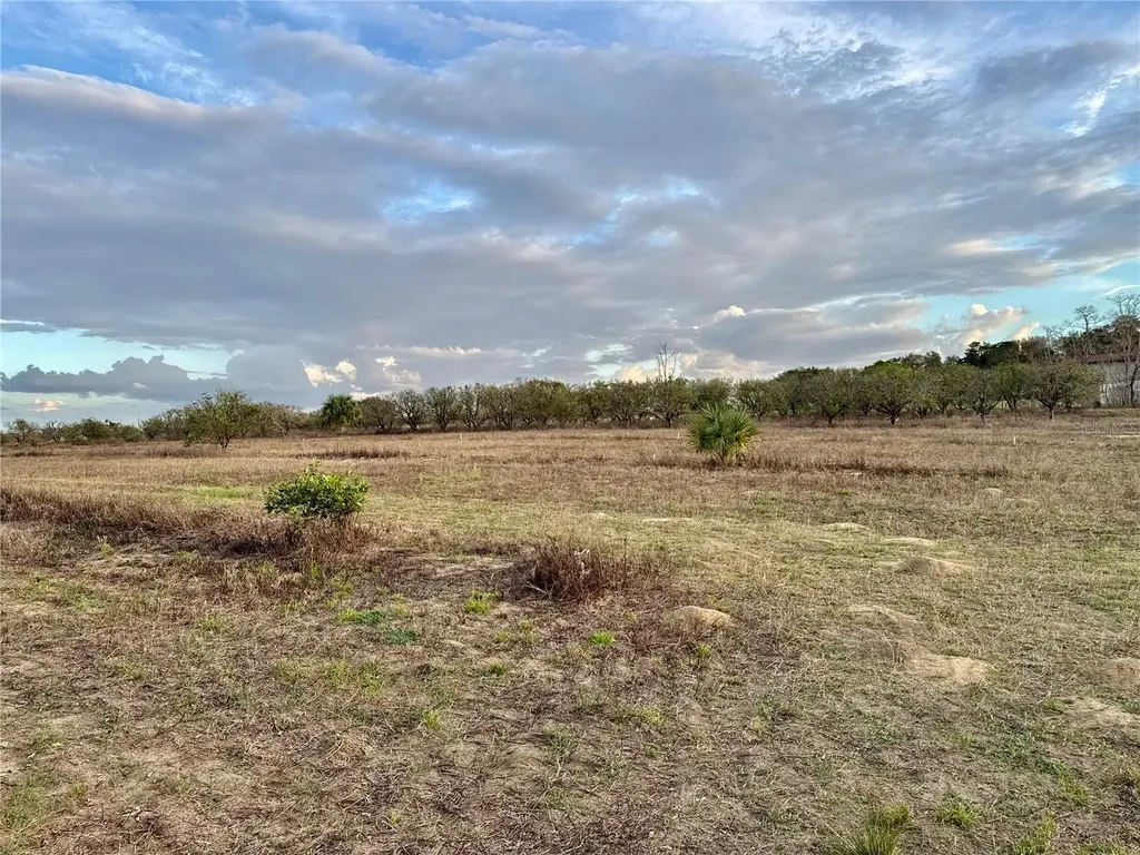 SE 165th Avenue Weirsdale FL 32195