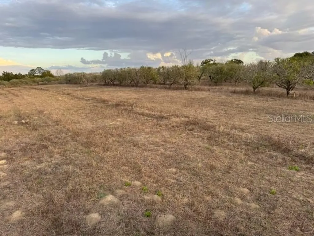 SE 165th Avenue Weirsdale FL 32195