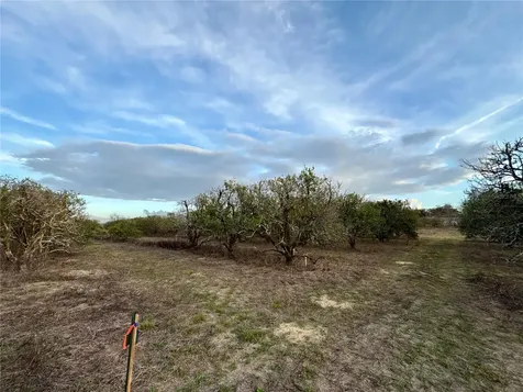 SE 165th Avenue Weirsdale FL 32195