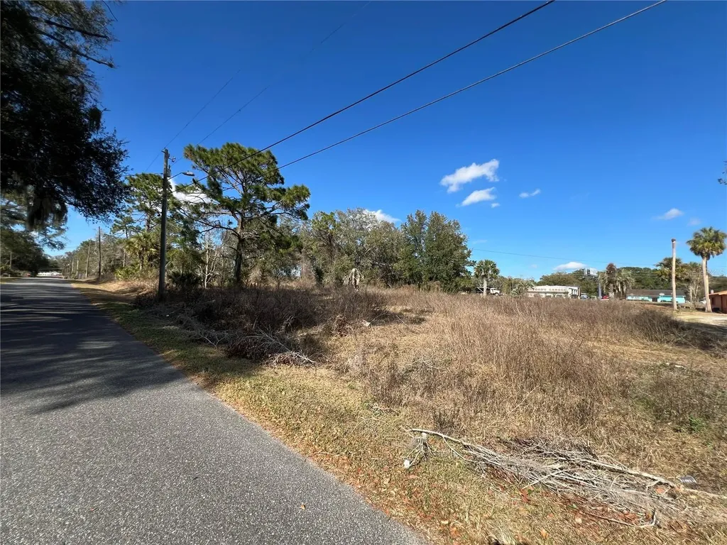 12441 SE 72nd Avenue Belleview FL 34420