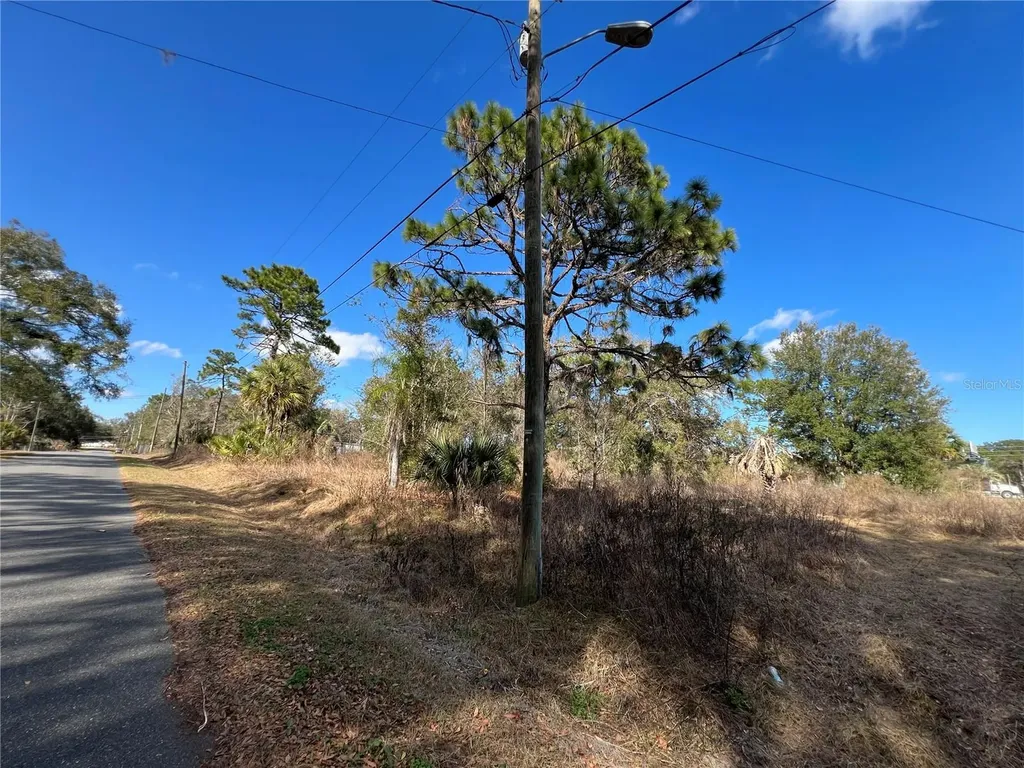 12441 SE 72nd Avenue Belleview FL 34420