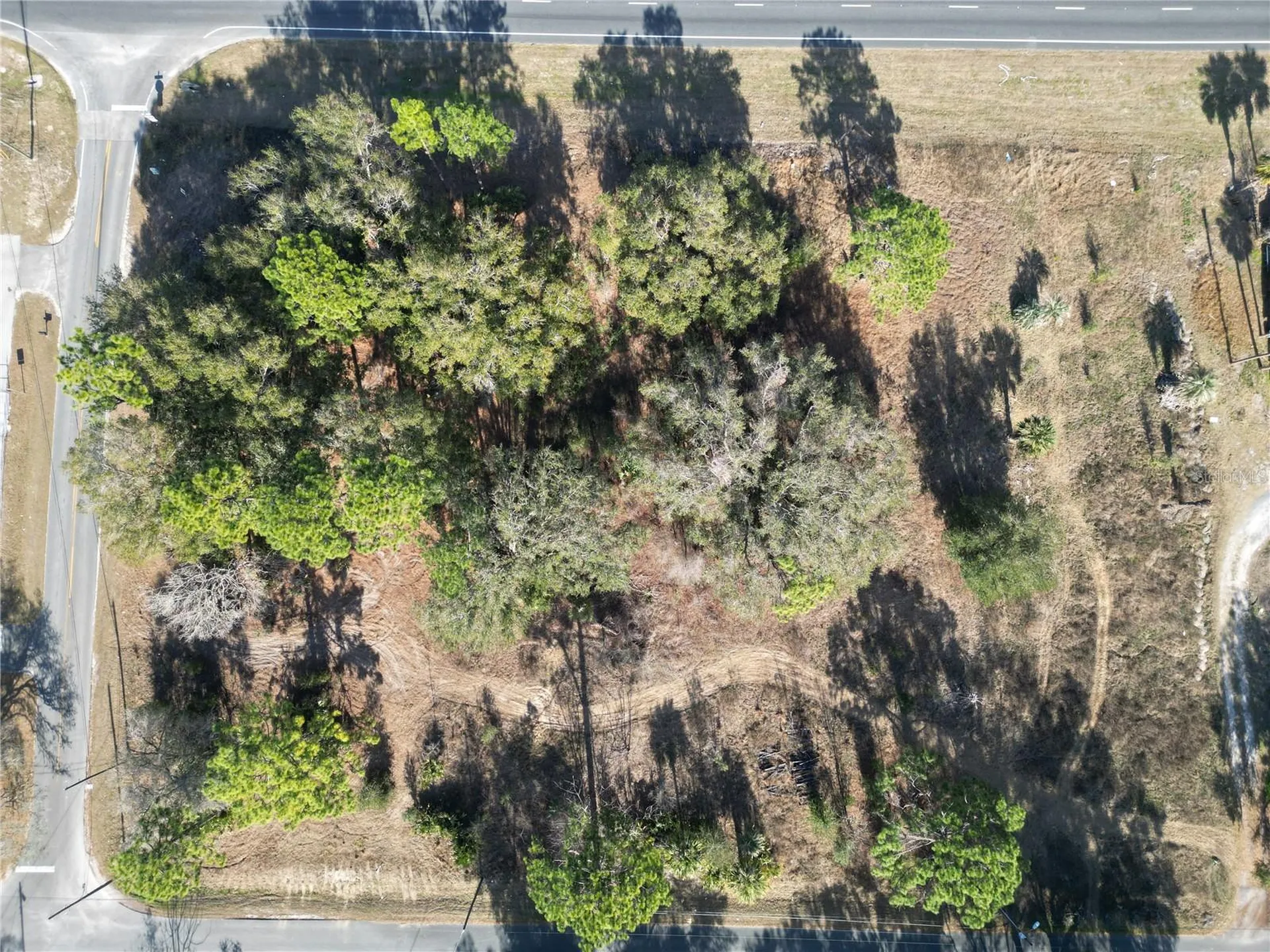 12441 SE 72nd Avenue Belleview FL 34420