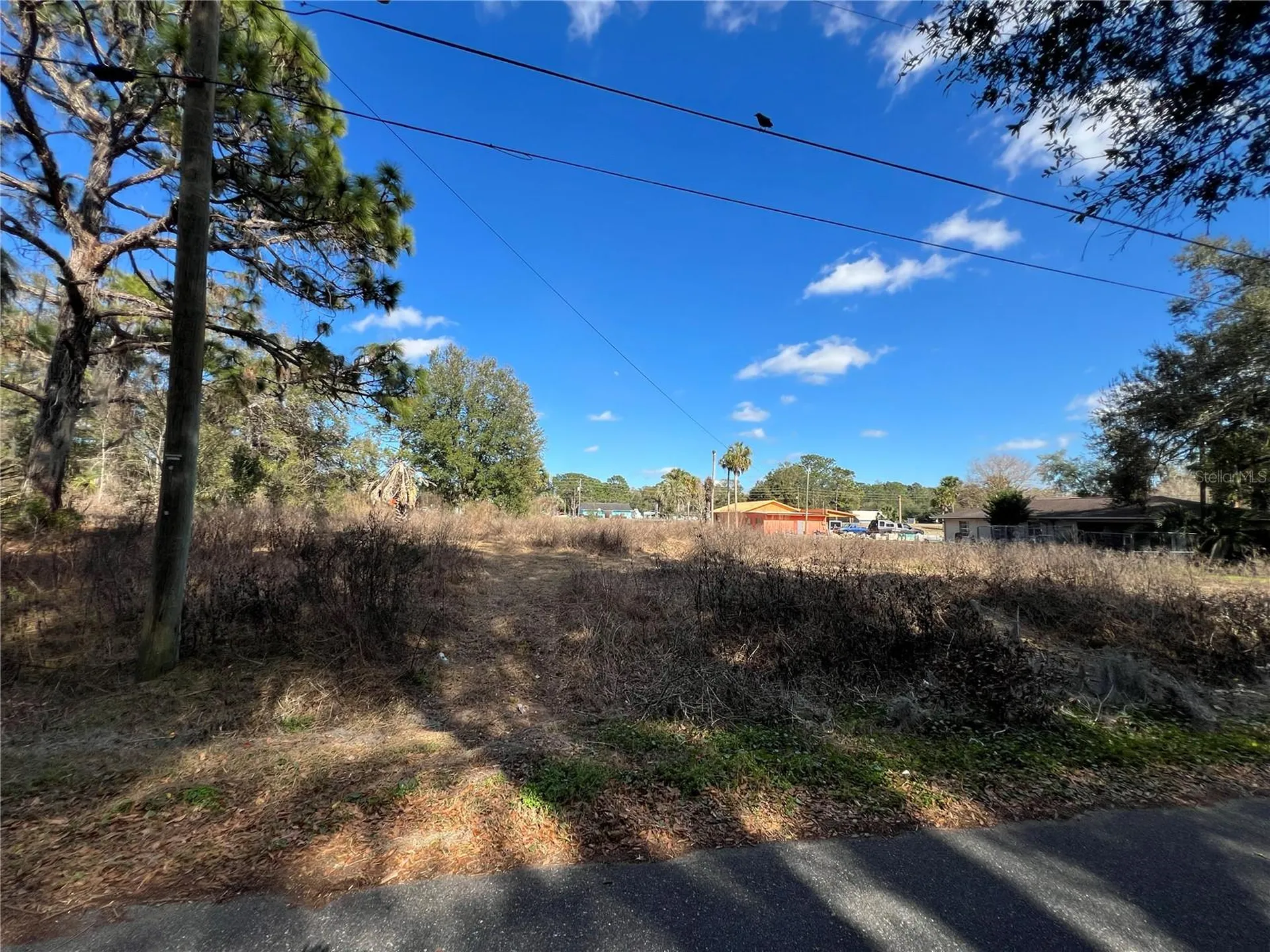 12441 SE 72nd Avenue Belleview FL 34420