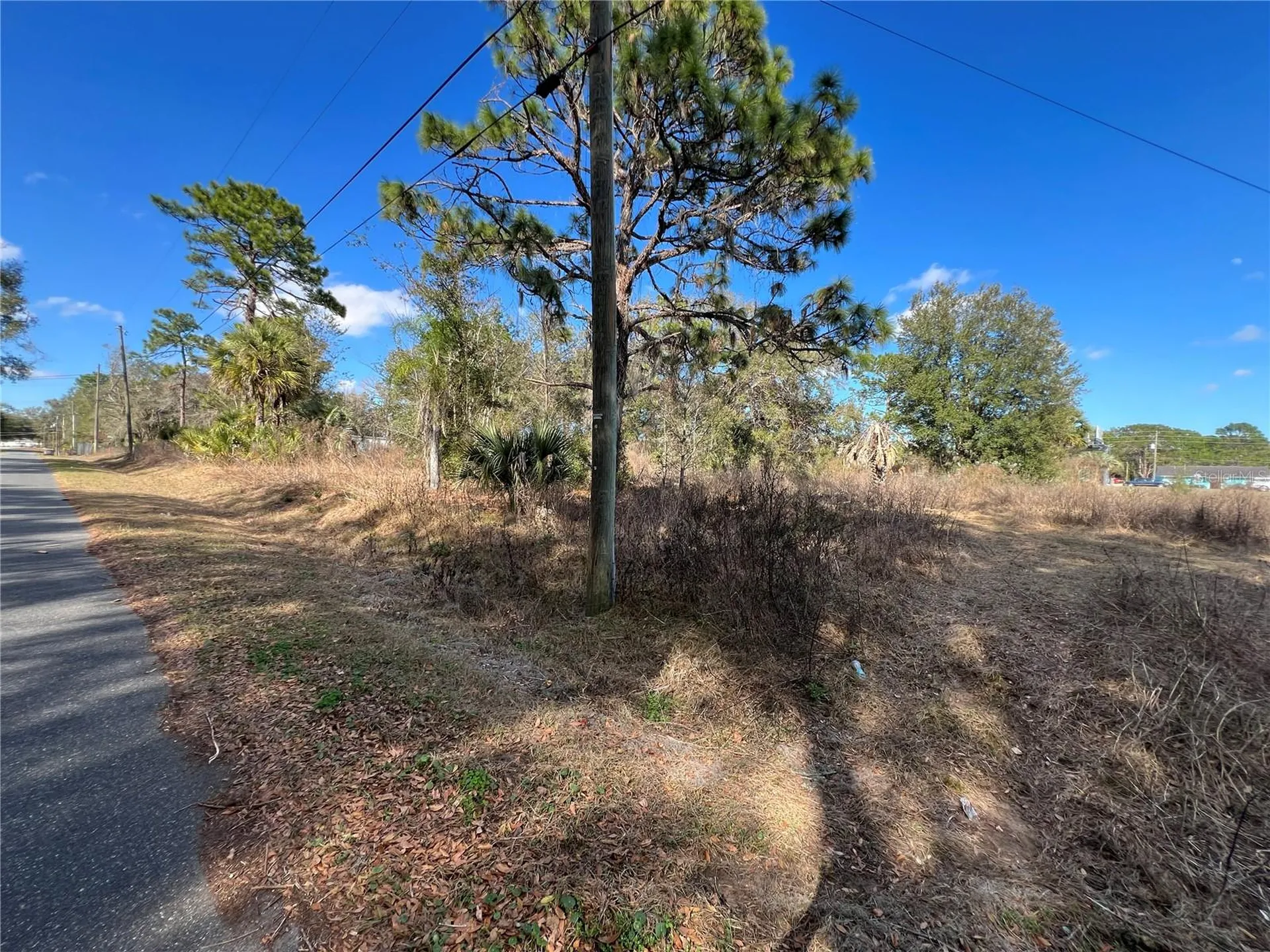 12441 SE 72nd Avenue Belleview FL 34420