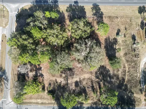 12441 SE 72nd Avenue Belleview FL 34420