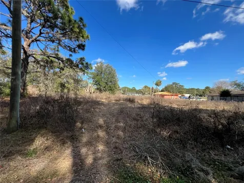 12441 SE 72nd Avenue Belleview FL 34420