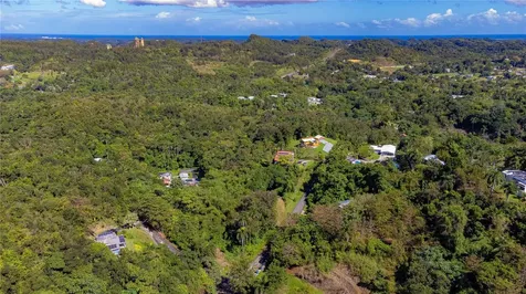 Urb. Haciendas Del Dorado Calle Guayacan A30 Toa Alta PR 00953