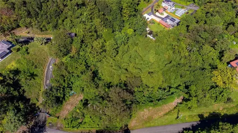 Urb. Haciendas Del Dorado Calle Guayacan A30 Toa Alta PR 00953