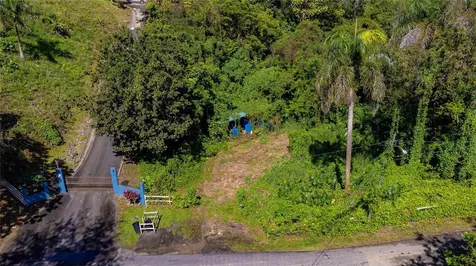 Urb. Haciendas Del Dorado Calle Guayacan A30 Toa Alta PR 00953