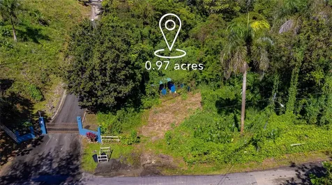 Urb. Haciendas Del Dorado Calle Guayacan A30 Toa Alta PR 00953
