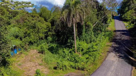 Urb. Haciendas Del Dorado Calle Guayacan A30 Toa Alta PR 00953