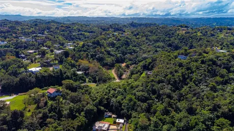 Urb. Haciendas Del Dorado Calle Guayacan A30 Toa Alta PR 00953