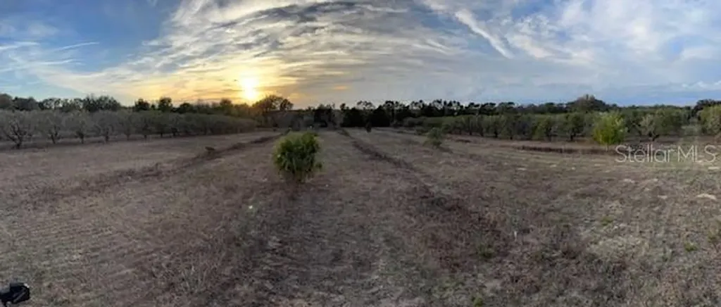 000 SE SE 165th Avenue Weirsdale FL 32195