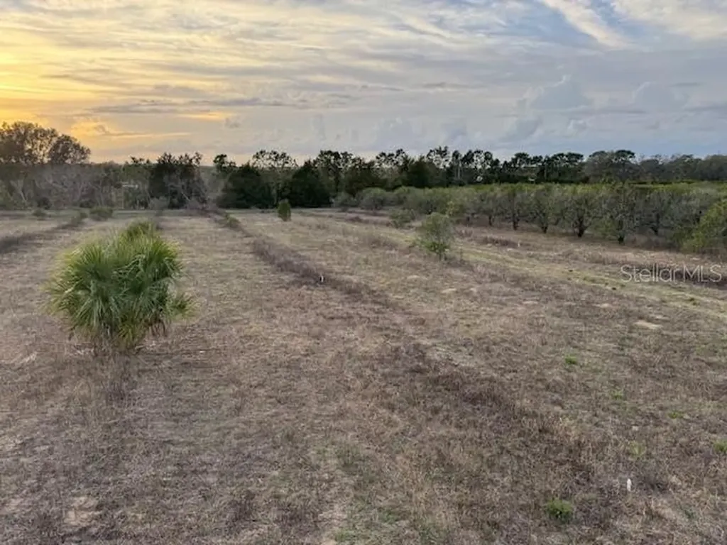 000 SE SE 165th Avenue Weirsdale FL 32195