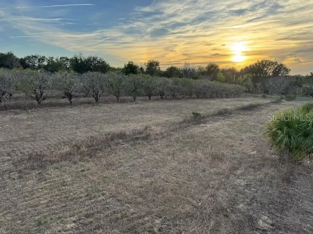 000 SE SE 165th Avenue Weirsdale FL 32195