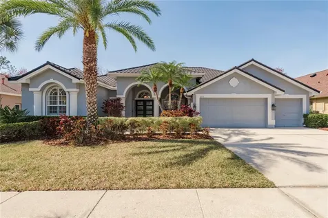 10537 Greensprings Drive Tampa FL 33626