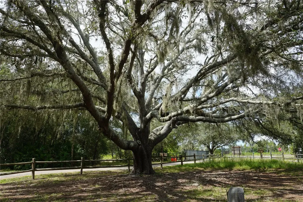 0 74th Avenue N Pinellas Park FL 33781