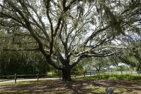 0 74th Avenue N Pinellas Park FL 33781