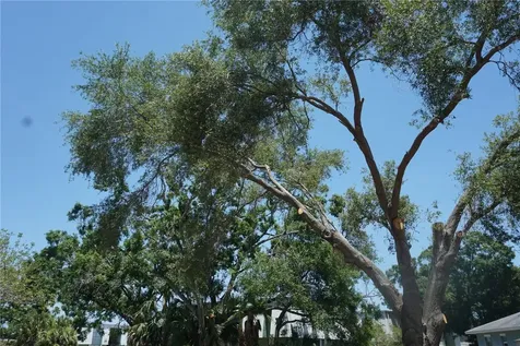 0 74th Avenue N Pinellas Park FL 33781