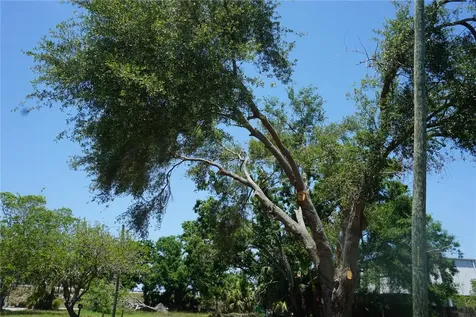 0 74th Avenue N Pinellas Park FL 33781