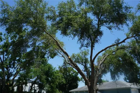 0 74th Avenue N Pinellas Park FL 33781