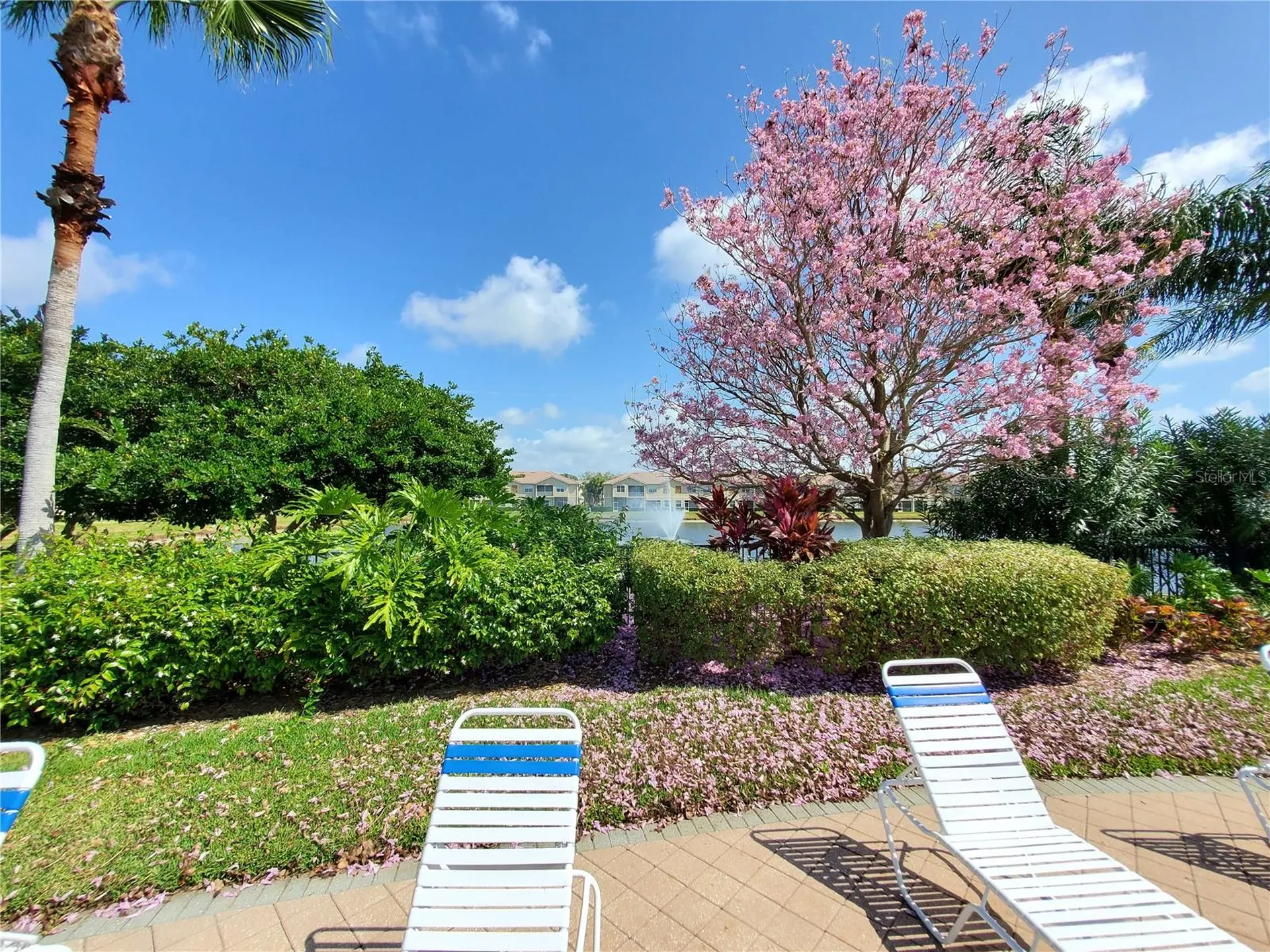 3468 Parkridge Circle Sarasota FL 34243