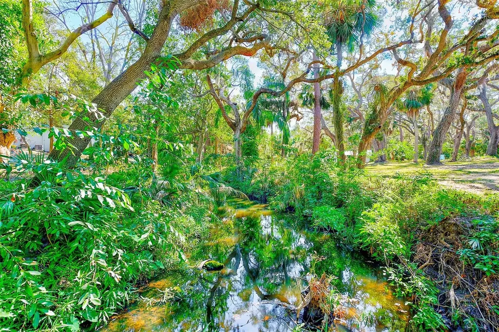 13450 Wilcox Road Largo FL 33774