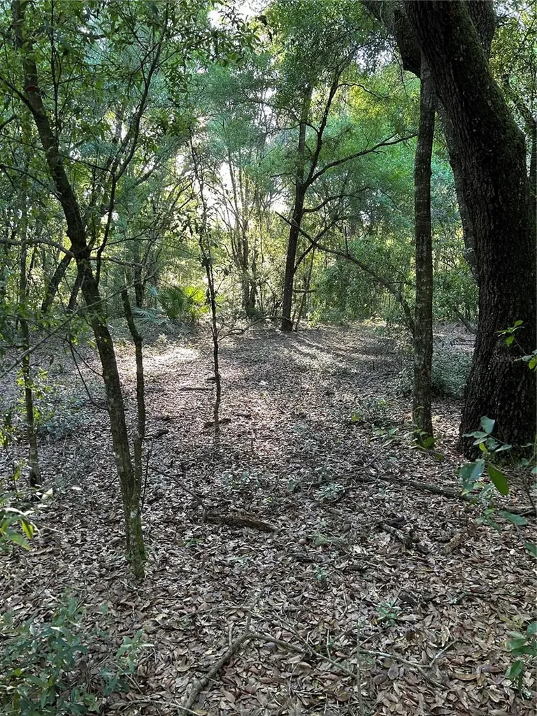 SW Highway 484 Dunnellon FL 34432