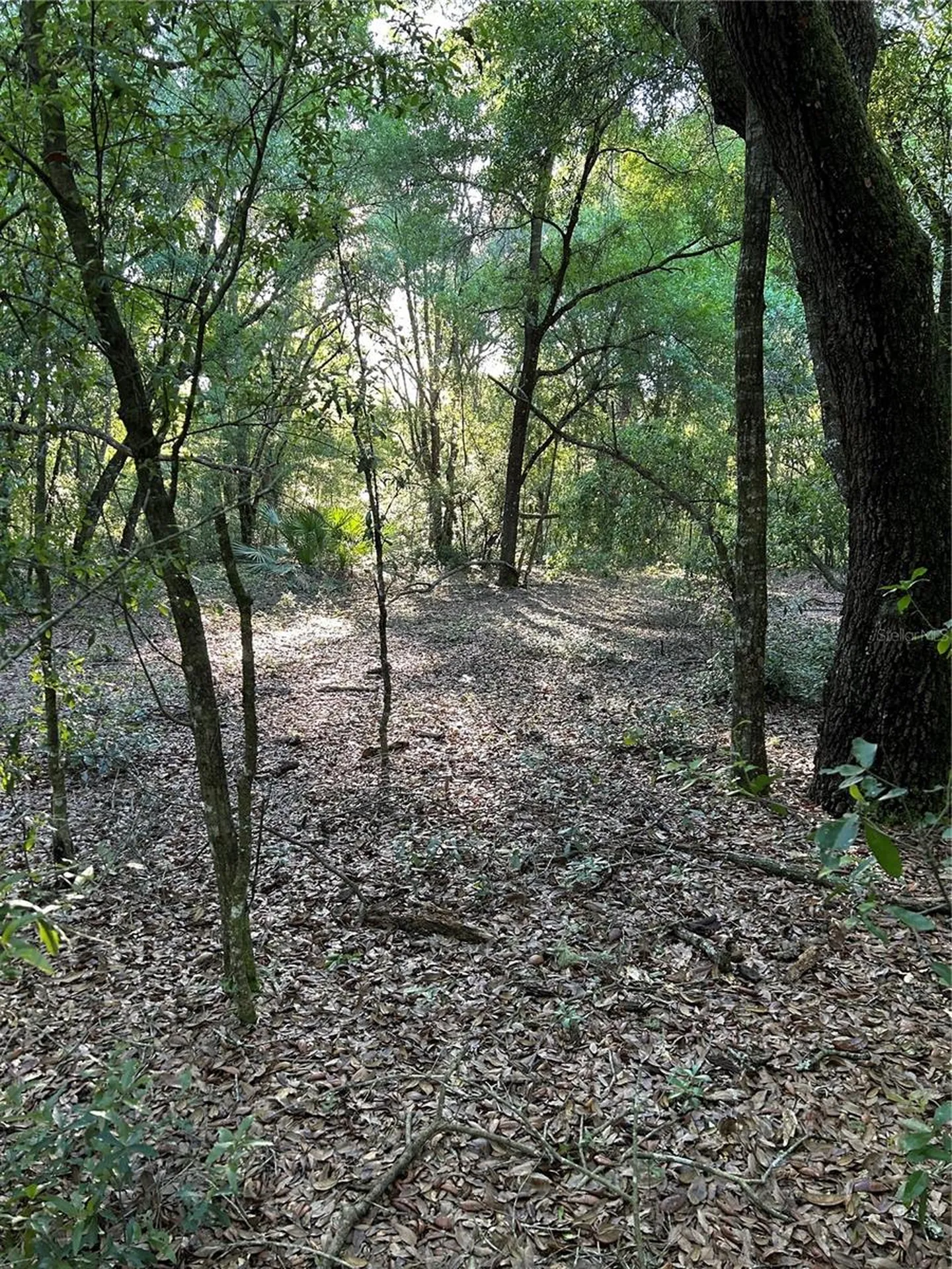 SW Highway 484 Dunnellon FL 34432