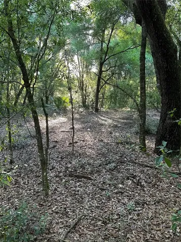 SW Highway 484 Dunnellon FL 34432