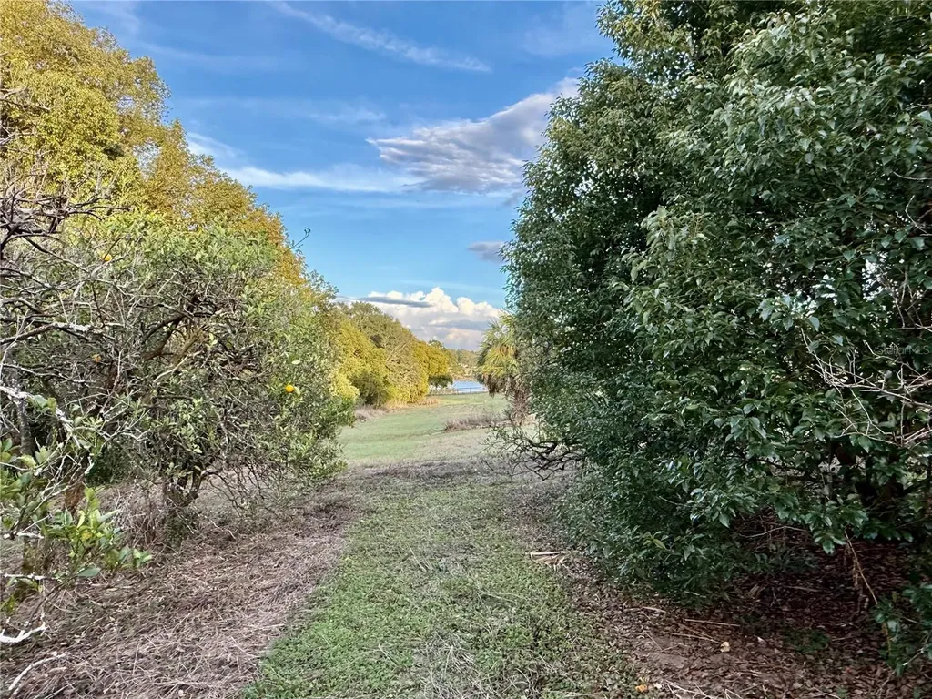 0 SE 165th Avenue Weirsdale FL 32195