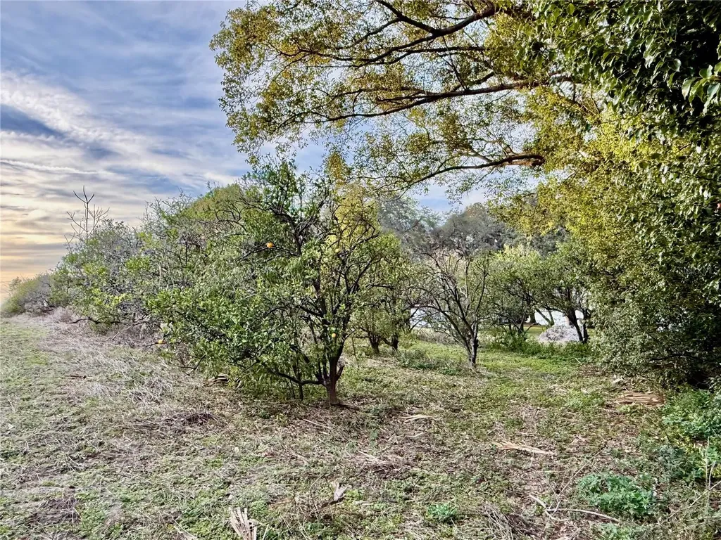0 SE 165th Avenue Weirsdale FL 32195