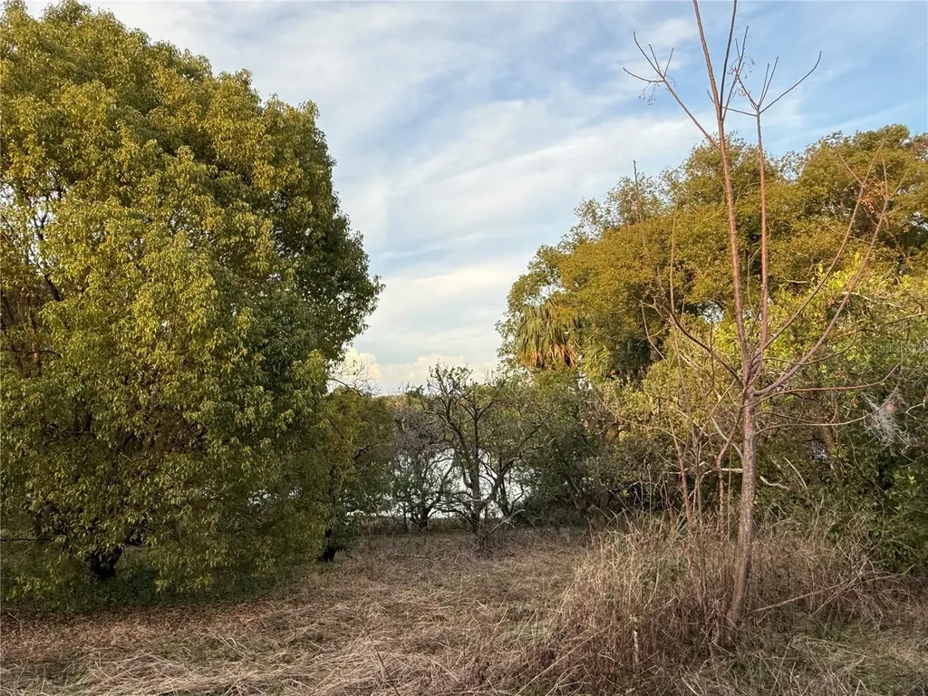 0 SE 165th Avenue Weirsdale FL 32195
