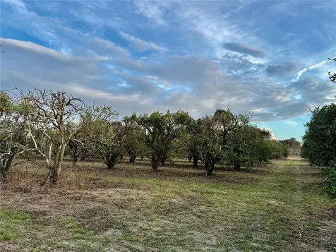 0 SE 165th Avenue Weirsdale FL 32195