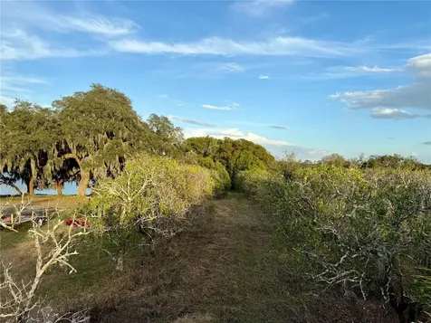0 SE 165th Avenue Weirsdale FL 32195