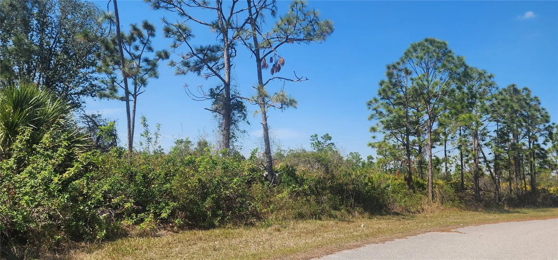 4163 Hollybrook Street Port Charlotte FL 33981