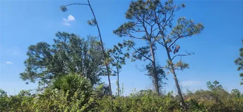4163 Hollybrook Street Port Charlotte FL 33981