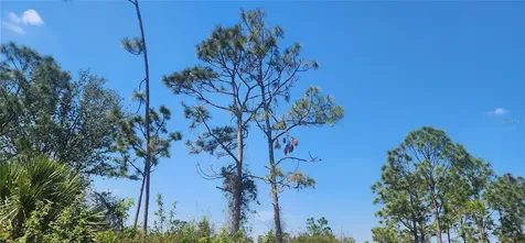 4163 Hollybrook Street Port Charlotte FL 33981