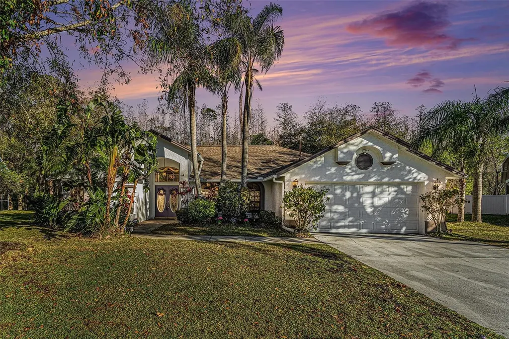 4739 Mahogany Court Land O Lakes FL 34639