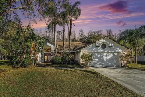4739 Mahogany Court Land O Lakes FL 34639
