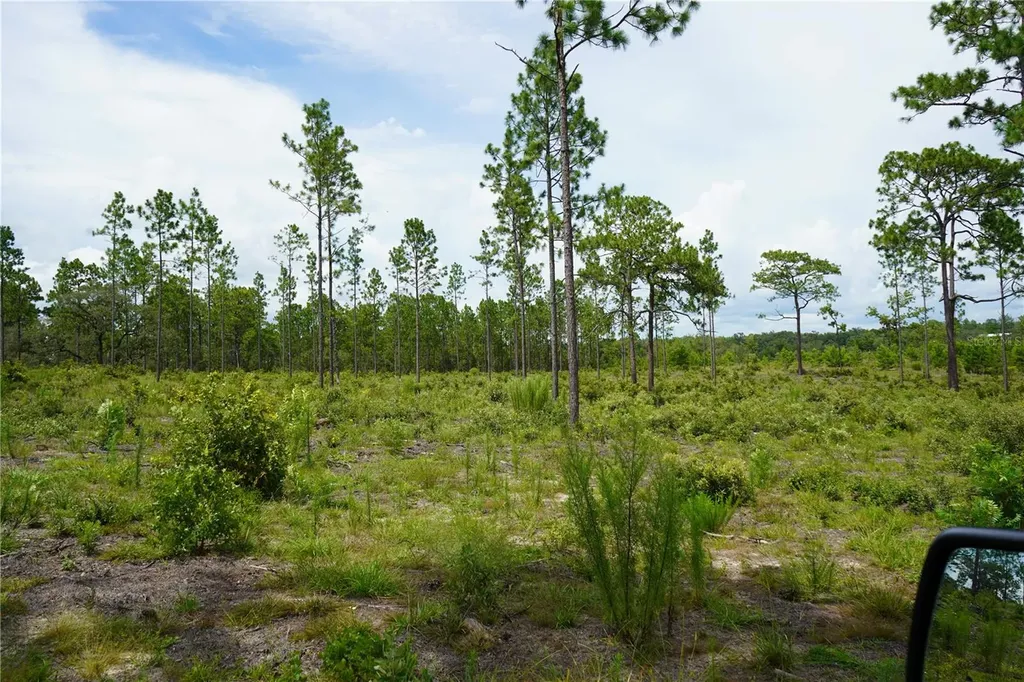 SE State Road 121 Lot C & D Morriston FL 32668