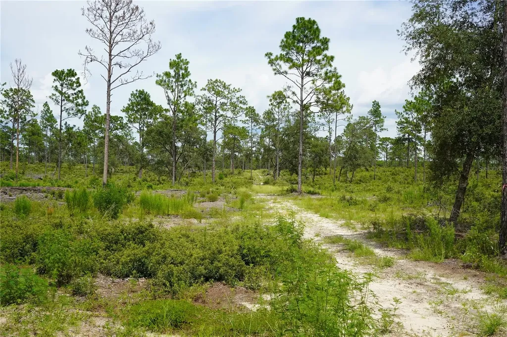 SE State Road 121 Lot C & D Morriston FL 32668