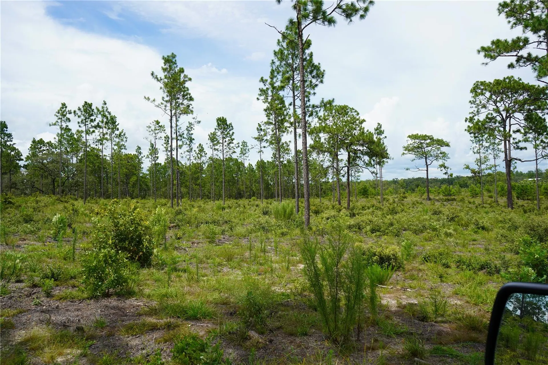 SE State Road 121 Lot C & D Morriston FL 32668
