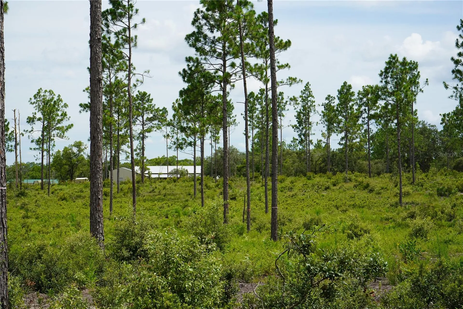 SE State Road 121 Lot C & D Morriston FL 32668